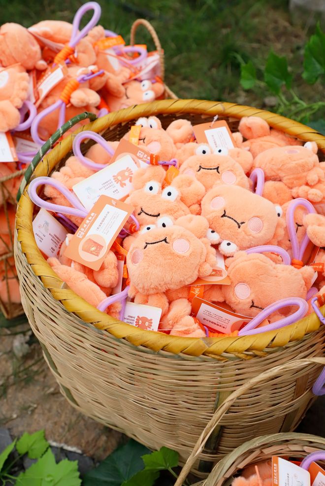 箱贴缘何成了“社交货币”瓦力棋牌江南观察 小小冰(图3) 箱贴缘何成了“社交货币”瓦力棋牌江南观察 小小冰(图3)